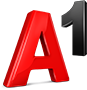 A1